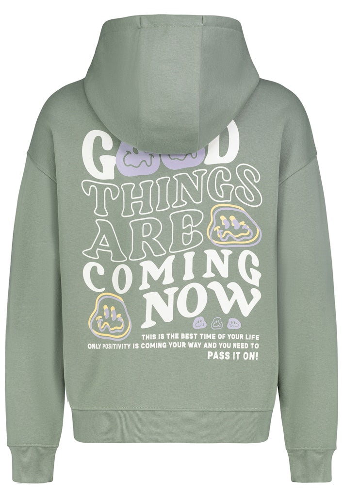 H10600BI21477N - AUTHENTIC STYLE men - Hoodie 12300 mineral green