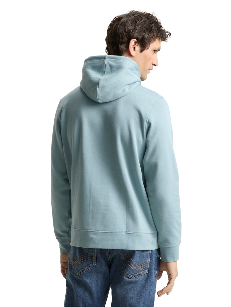 1048635 TOM TAILOR men - Hoodie 30838 tourmaline
